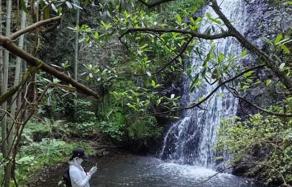 夏日山野 | 06.02 穿越原始峡谷，五瀑连穿，碧潭幽深，翠竹掩映，徒步安吉菖蒲谷