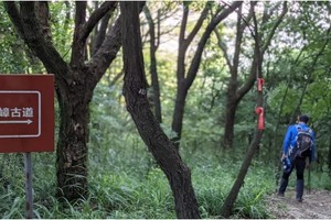 徒步登山 | 06.07 穿越军嶂古道，沉寂在历史中的前尘往事