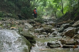 （确定出行）登山系列 | 07.21 紫金山红石谷野道穿越，游览夏日紫金风光