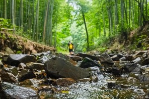 徒步系列 | 08.17 夏日铜官山小环线，溯溪玩水，汗水与溪水的欢乐