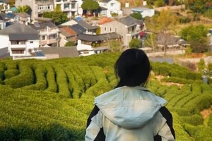 徒步登山 | 12.28 徒步九溪十八涧，穿行龙井村灵隐寺，登顶北高峰，访第一财神庙