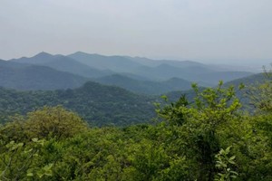 登山徒步 | 10.12 穿越野趣十足的老山西线，感受秋风吹拂的山林