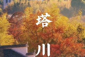 （已成行）皖南秋色 | 11.08-11.09 赏秋·塔川，中国四大秋色之一，两日休闲