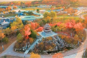 官方活动团报 | 11.24 见山·趣野·无畏前行， 汤山秋季徒步大会