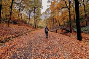 登山徒步 | 12.03 行走秋日老山中部环线，一网打尽老山网红景点