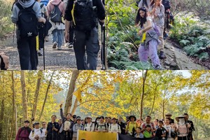 登山系列 | 12.14 翠屏山 - 将军山秋日环线，赏绝美水杉林，邂逅失落之美