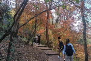 登山徒步 | 12.06 穿越秋湖山无想山，聆洞壁琴音，行走秋日多彩山林