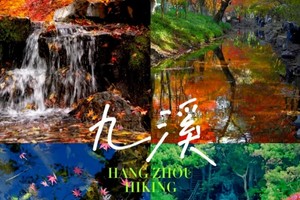 徒步系列 | 11.29 徒步九溪十八涧，龙井茶园，穿行十里琅珰