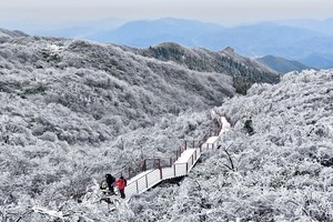 （已成行）登山徒步 | 12.29 冰雪鸬鸟山，千山暮雪，江南雾凇，高山冰草甸，人少景美
