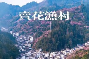（已成行）休闲二日 | 02.19-02.20 从阳产土楼到卖花渔村，寻找隐藏在徽州深山里的梅花仙境