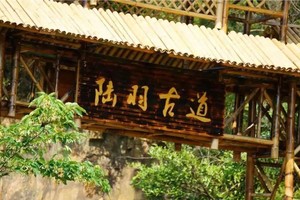 徒步系列 | 02.15 徒步陆羽古道，觅霞幕山水人间事，感受治愈系茶野与古刹探访