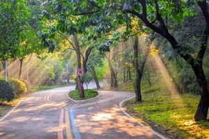 Citywalk | 03.15 一年无事为花忙，赢得几春光，行走聚宝山环线