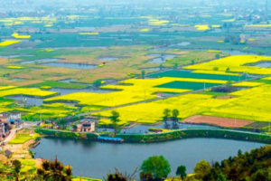 登山徒步 | 03.21 徒步西行古道，探秘历史与自然，邂逅响水涧山水花海