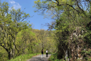 登山徒步 | 04.20 穿越野趣十足的老山西狮子岭匪集场环线，感受春风吹拂的山林