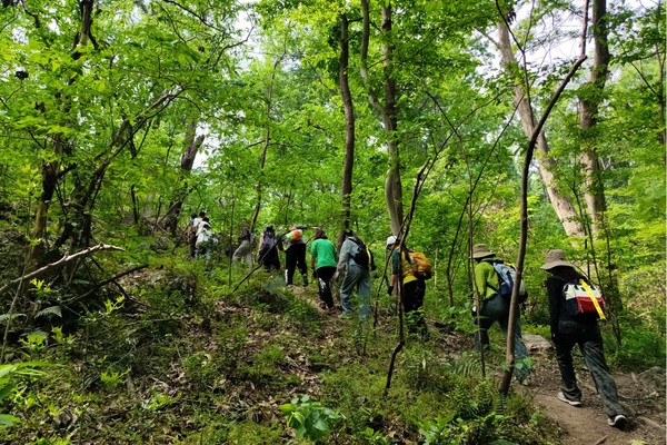 （已成行）登山徒步 | 04.24 紫金山野道乱穿，行走红石谷，游览春日紫金风光