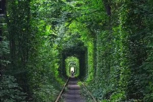 登山徒步 | 06.05 徒步爱情隧道+静龙山+吉山失考石刻，大美隐于林