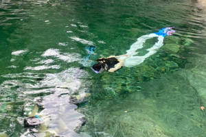 溯溪玩水 | 08.16 玩水黄山脚下白鹇谷，邂逅林泉诗境，探寻诗仙笔下的清凉秘境