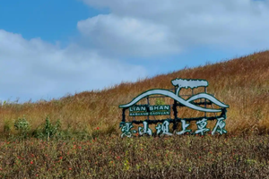 徒步系列 | 11.01 徒步南京练山坝上草原，探索宁静自然之美