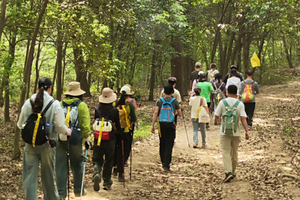 登山徒步 | 11.06 游览秋日紫金风光紫金山，红石谷野道穿越，湖光秋色两相和