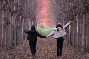 （已成行）徒步系列 | 11.06 秋染层林，徒步赏枫！六合大泉湖红枫林环线徒步活动招募