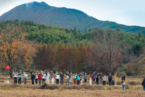（已成行）皖南秋色 | 11.15-11.16 赏秋塔川、齐云山，中国四大秋色之一，中国四大道教名山之一
