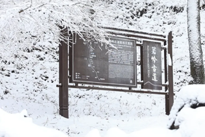 元旦跨年 |「二天一晚 」12.31（晚）-01.01 箬岭古道踏雪赏雾凇，穿越千年的冰雪画廊