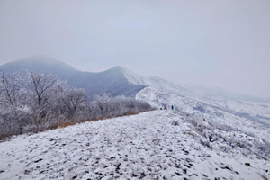 （不下雪就改走紫金山明孝陵环线）登山徒步 | 01.31 九连尖雪线穿越，遇见江南冰雪世界