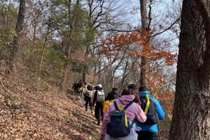 （已成行）登山徒步 | 02.23 徒步紫金山明孝陵，奔赴山野，红墙蜡梅，藏着南京的冬日童话
