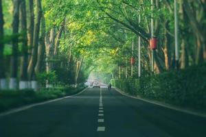 徒步系列 | 02.18 环陵路「第三期」从前邮件车马慢，隐藏在环陵路的民国遗迹