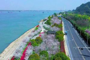 徒步系列 | 03.25 徒步幕府风光带16公里，江边赏景，看轮渡斜阳