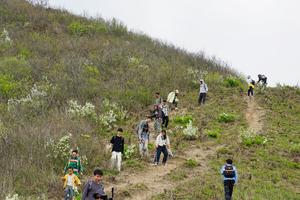 「南航校友会专场」04.08 穿越春色九连尖，行走华东小武功山