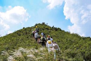 登山系列 | 05.14 穿越春色九连尖，行走华东小武功山