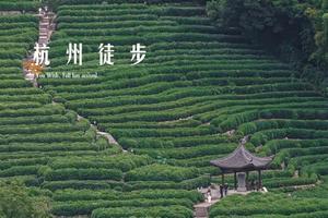 徒步系列 | 6.11 徒步九溪十八涧，龙井茶园赏景