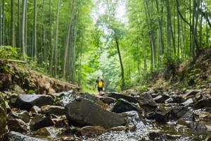 徒步系列 | 07.01 夏至日欢乐徒步，铜官山溯溪，感受逆流而上的快乐