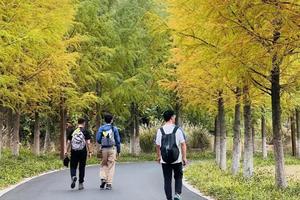 端午活动 | 06.23 穿越秋湖山无想山，寻夏日轻蝉，聆洞壁琴音