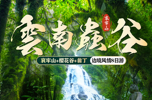 【云南虫谷】（12.27确认成行） 樱花限定 哀牢山秘境-无量山樱花谷-翁丁原始村落-博航老寨-龙摩爷-景迈山樱花