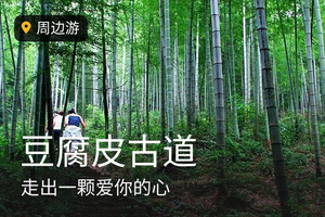 【豆腐皮古道】12.27竹林漫步，走茶园，过水库，古道探幽 单日线