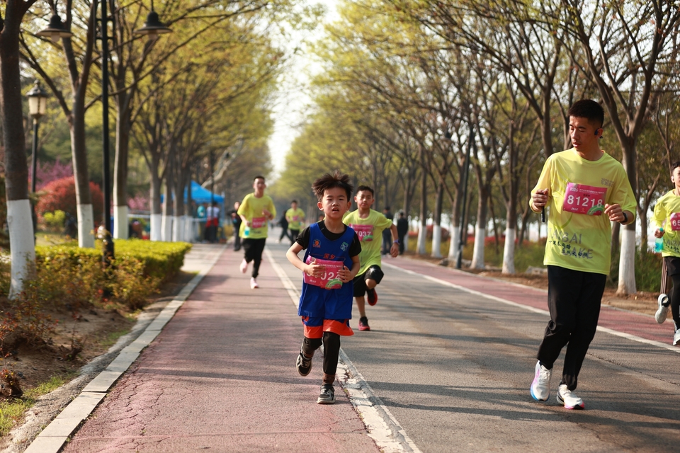 微信图片_20260329200520_33_5