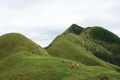 188元 特种兵之夜登三官山1天1夜】粤西“武功山” 观星空，赏日出摄影高山草甸，每周六晚出发