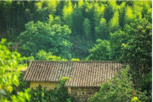 特价59元！【星溪徒步】~徒步穿越十里竹海 感受最美乡村小径1天，每周六日出发，