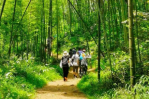 1天每周六日出发特惠88元，含门票【千泷沟穿越】徒步穿越千泷沟大瀑布，行摄万亩竹海