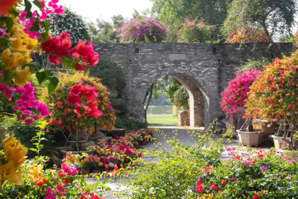 11月30日召集！【广100第五站·马岭观花】藏在花都的“莫奈花园”：草原14公里千人徒步大会