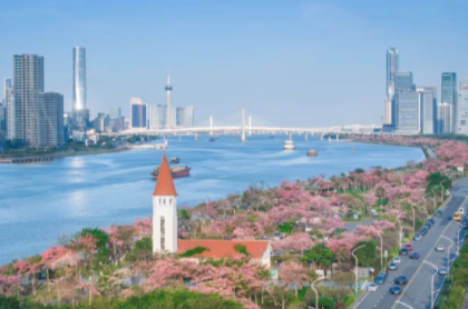 岑村智慧城出发【每周三/四/六/日，特价69元】美拍珠海横琴十里木棉花海+珠海情侣路+日月贝大剧院+香炉湾沙滩+野狸岛~