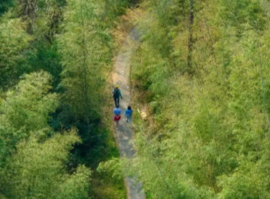 爆款！自驾亲子【从化寻宝挖冬笋】11.30日/12.6日趣味挖冬笋，摘砂糖橘任吃，土窑烤披萨，DIY非遗竹节人！