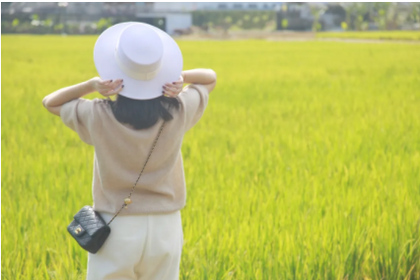 岑村智慧城集合【粉摄东莞】行摄松山湖5公里粉色花海大道，邂逅欧陆风情小镇，美拍缤纷稻田画，探索岭南文艺水乡特价