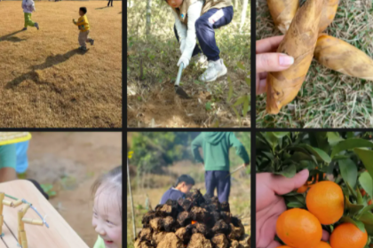 自驾【溪头村营地】竹海徒步挖冬笋、制作竹筒饭、竹艺、竹节人大作战、土窑鸡烤红薯、采摘砂糖桔任吃一日营