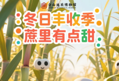 自驾蔗里有点甜，砍甘蔗榨甘蔗汁+甘蔗渣造纸+美味窑鸡+博物馆探险，冬日丰收季，甘蔗研学营