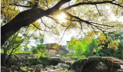 春节游【柳州+黄姚3天】广西龙城柳州嗦粉，鹿寨喀斯特奇观，梧州骑楼城，千年黄姚古镇3日休闲之旅- 