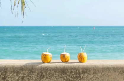 省外游已含高铁飞机