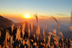 2天2晚-每周五晚出发武功山•金顶日出】向云端高山绿草甸~精华穿越2天3晚汽车团特价299元起！